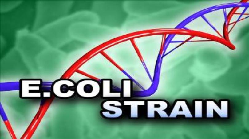 CDC Issues Warning Of E. Coli Outbreak Linked To Beef