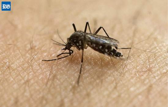 Aerial spraying for Zika virus begins in Miami Beach